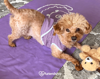 Thumbnail for Custom Pet Lovers Yoga Towel For Hot Yoga