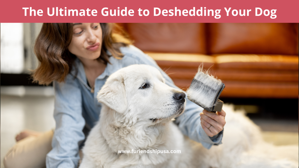 Curated visual reference: The Ultimate Guide To Deshedding Your Dog Step By Step Photo Inspiration