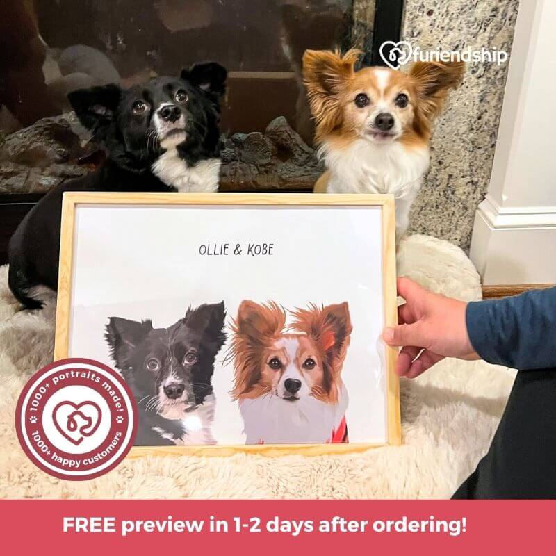 Furiendship custom pet portrait with free previews