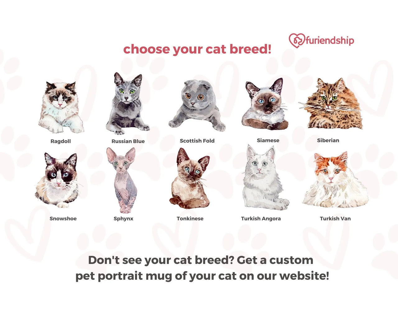 personalized cat mugs at furiendship