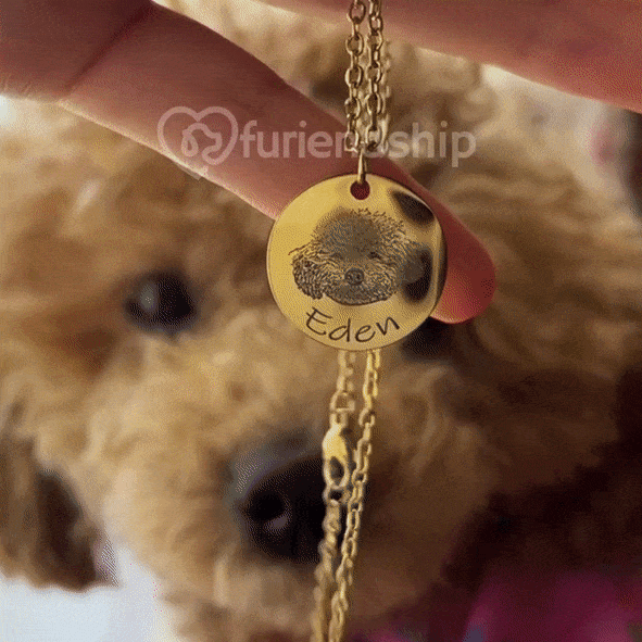 Dog Paw Print Necklace | Custom Pet Jewelry for Humans – Pet Amprent