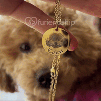 Thumbnail for Collar personalizado con foto de mascota