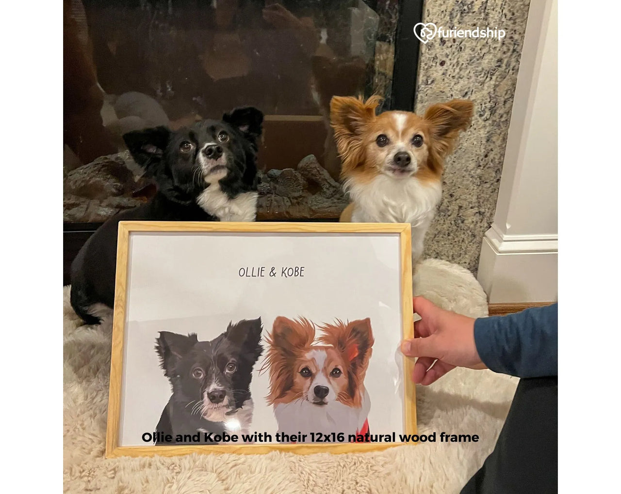 Custom Pet Portrait - Two Dogs with their framed portrait - Furiendship