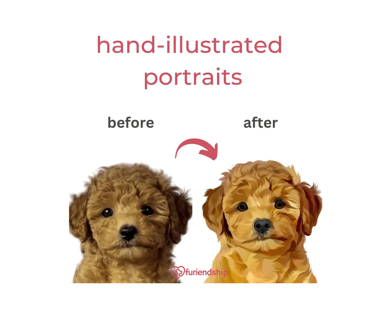 Furiendship before and after, hand illustrated pet portraits