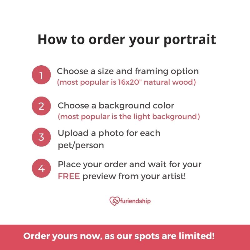 How to order a custom pet portrait
