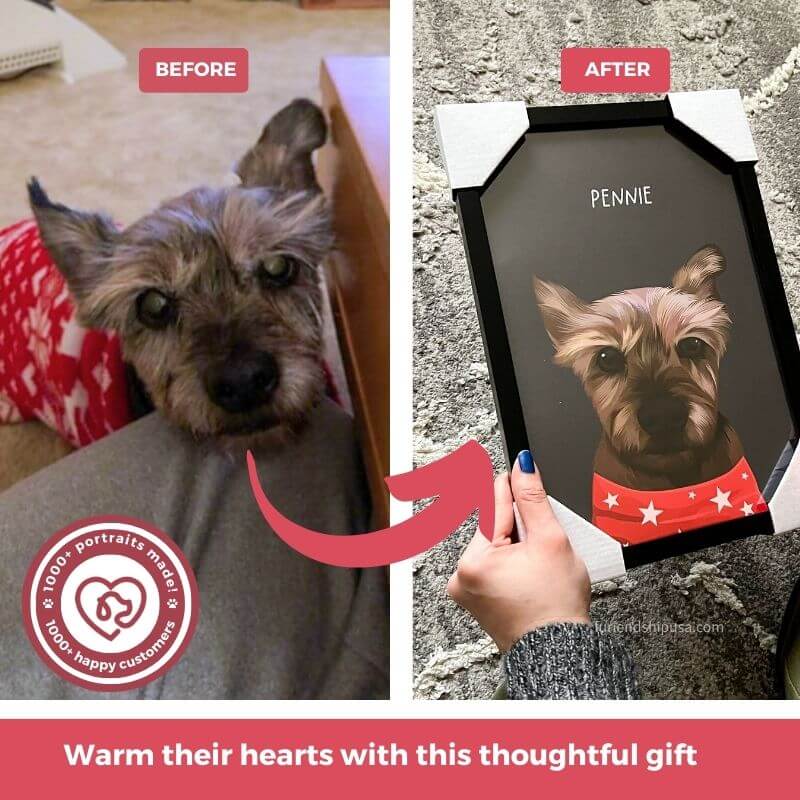 Furiendship - We turn your pets into a custom portrait
