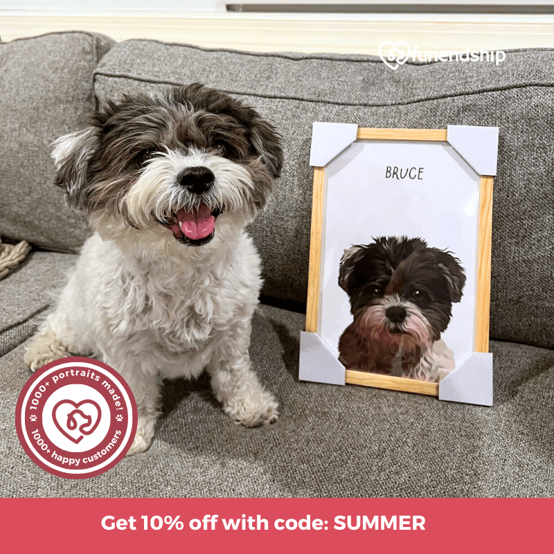 get 10% off your custom pet portrait with code: SUMMER at furiendship