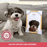 Thumbnail for get 10% off your custom pet portrait with code: SUMMER at furiendship