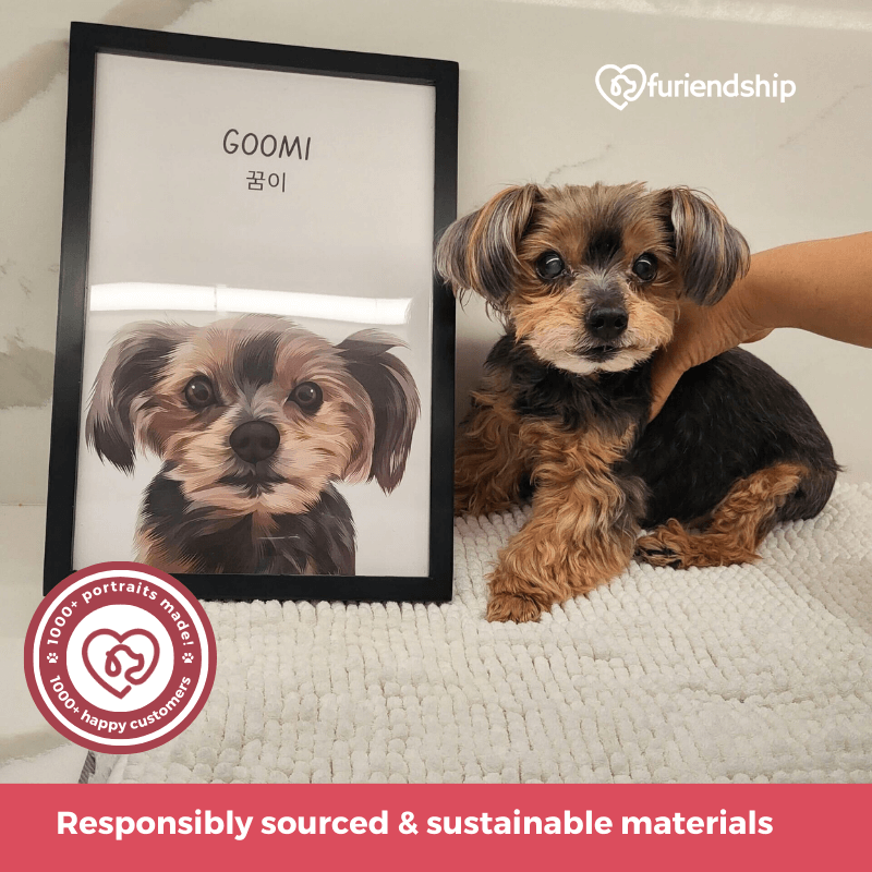 Responsibly sourced and sustainable materials at furiendship