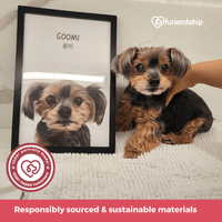 Thumbnail for Responsibly sourced and sustainable materials at furiendship