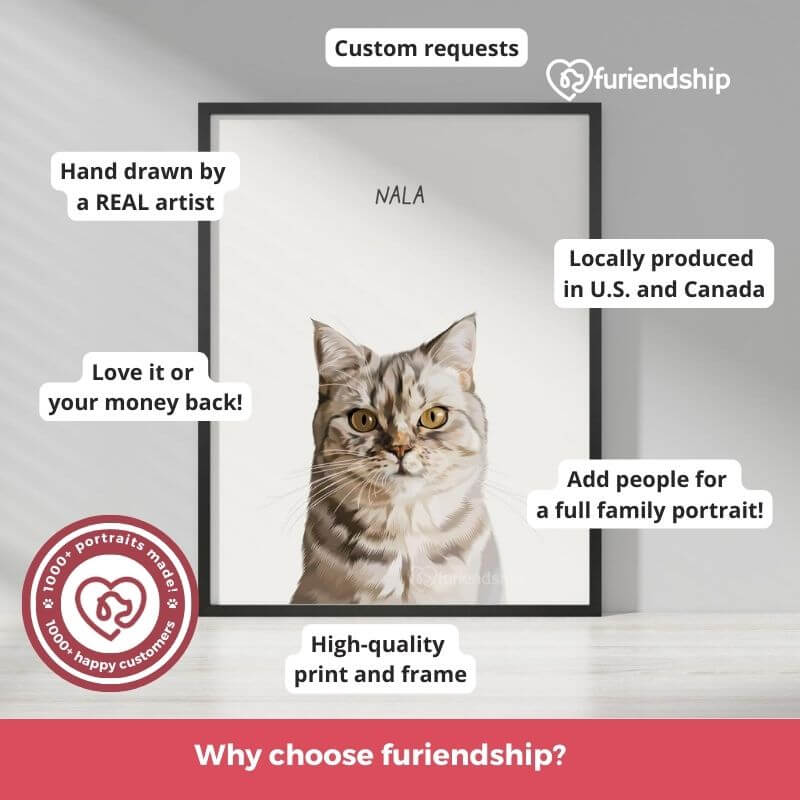 Why choose Furiendship for your custom portrait