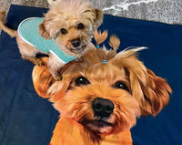 Thumbnail for Custom Pet Photo Blanket