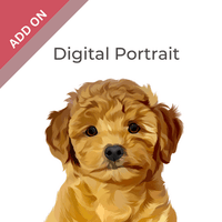 Thumbnail for Add On - Digital Portrait - Furiendship